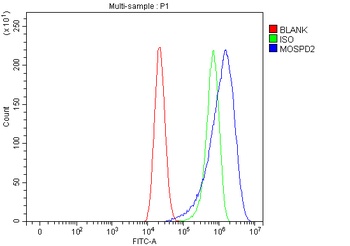 Anti-MOSPD2 Antibody 抗体，orb178