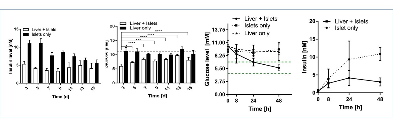 多类器官串联芯片培养技术