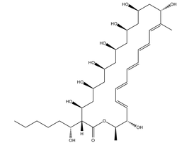 菲律平,菲律宾菌素,480-49-9