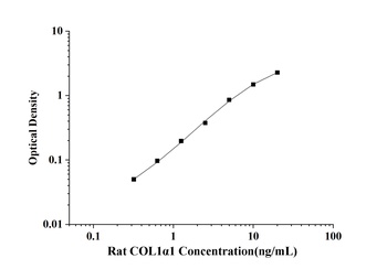 Rat COL1α1(Collagen Type Ⅰ Alp