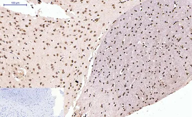 产品细节图片10