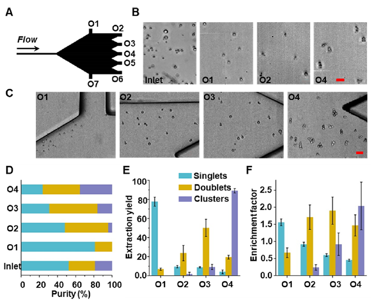 小型台式无掩膜直写光刻系统- MicroWriter ML3