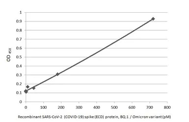 SARS-CoV-2 (COVID-19) Spike (E