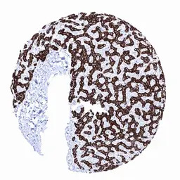 Hepatocyte Specific Antigen an
