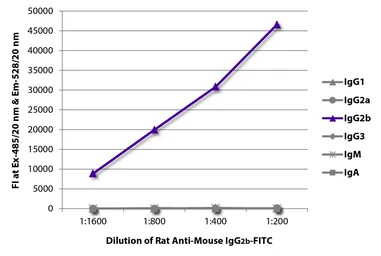 Rat Anti-Mouse IgG2b antibody 