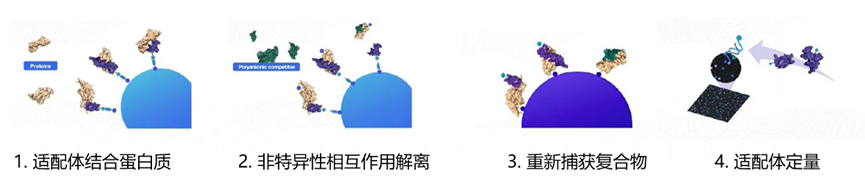 超高深度靶向蛋白组P7k/P11k