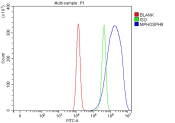 Anti-MPHOSPH9 Antibody 抗体，orb1