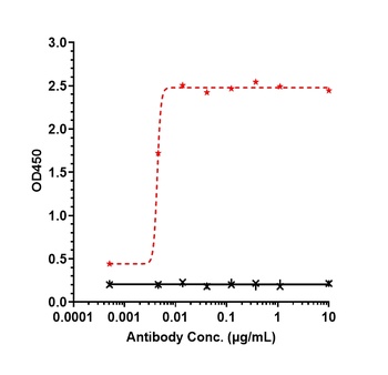 Anti-CDH1 / E-cadherin / CD324