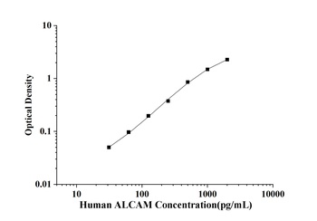 Human ALCAM(Activated Leukocyt