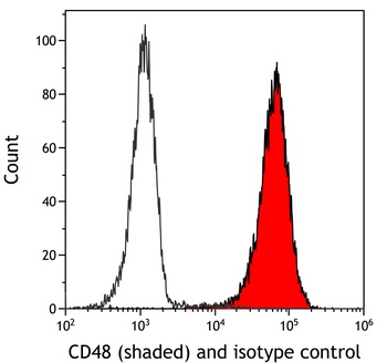 CD48 Antibody 抗体，orb1806445，Bi
