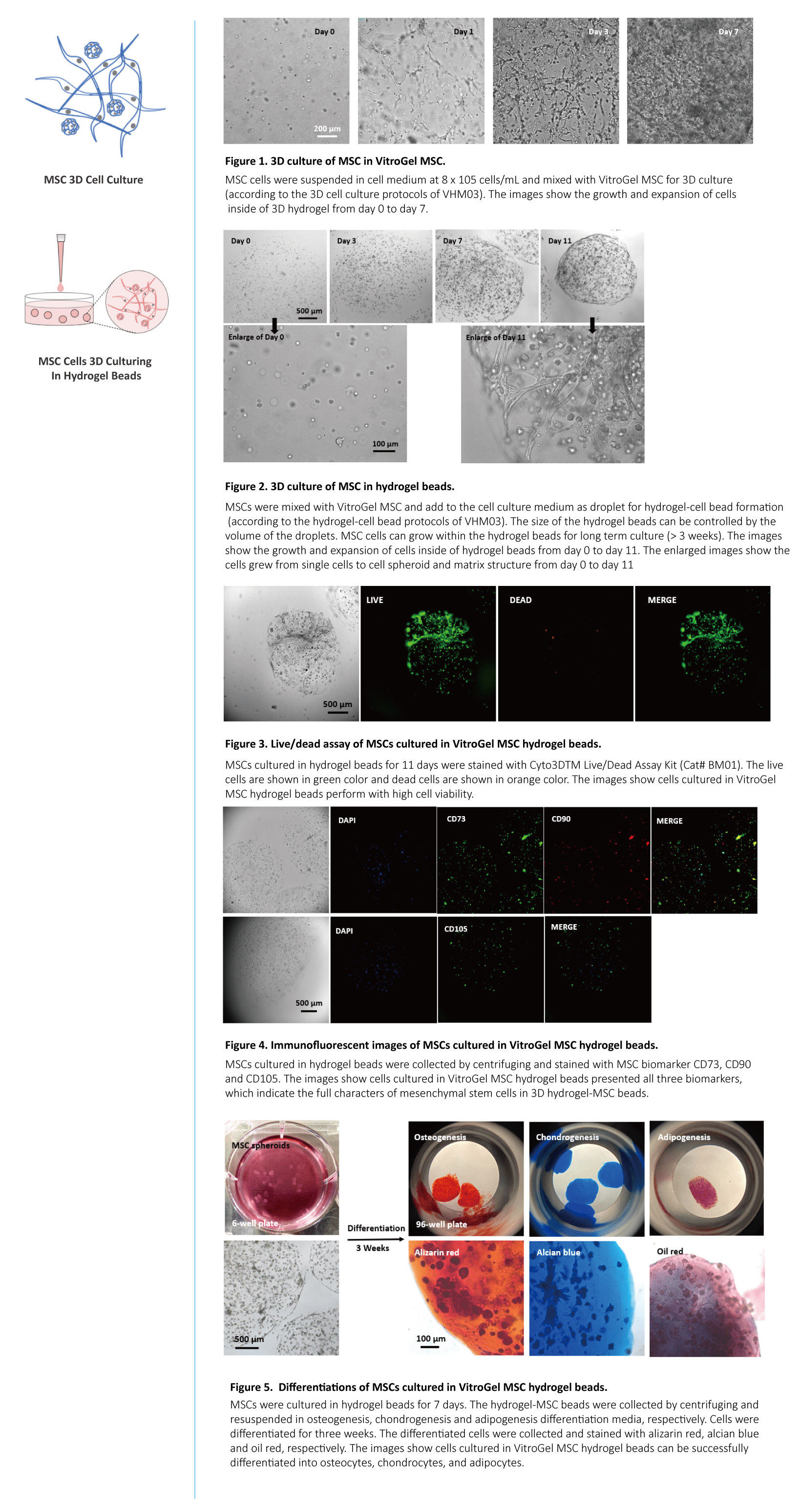 VitroGel® MSC 3D培养水凝胶 VHM03