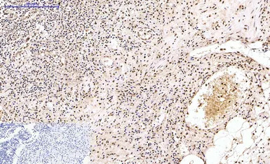 产品细节图片11