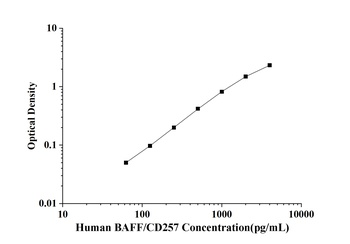 Human BAFF/CD257(B-Cell Activa