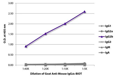 Goat Anti-Mouse IgG2b (Heavy c