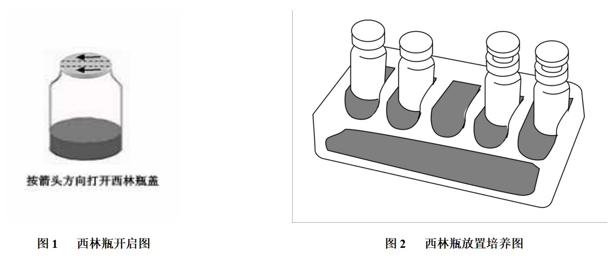 (嗜肺)军团菌生化鉴定盒 7种×10次