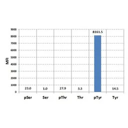 Phosphotyrosine antibody [RM11