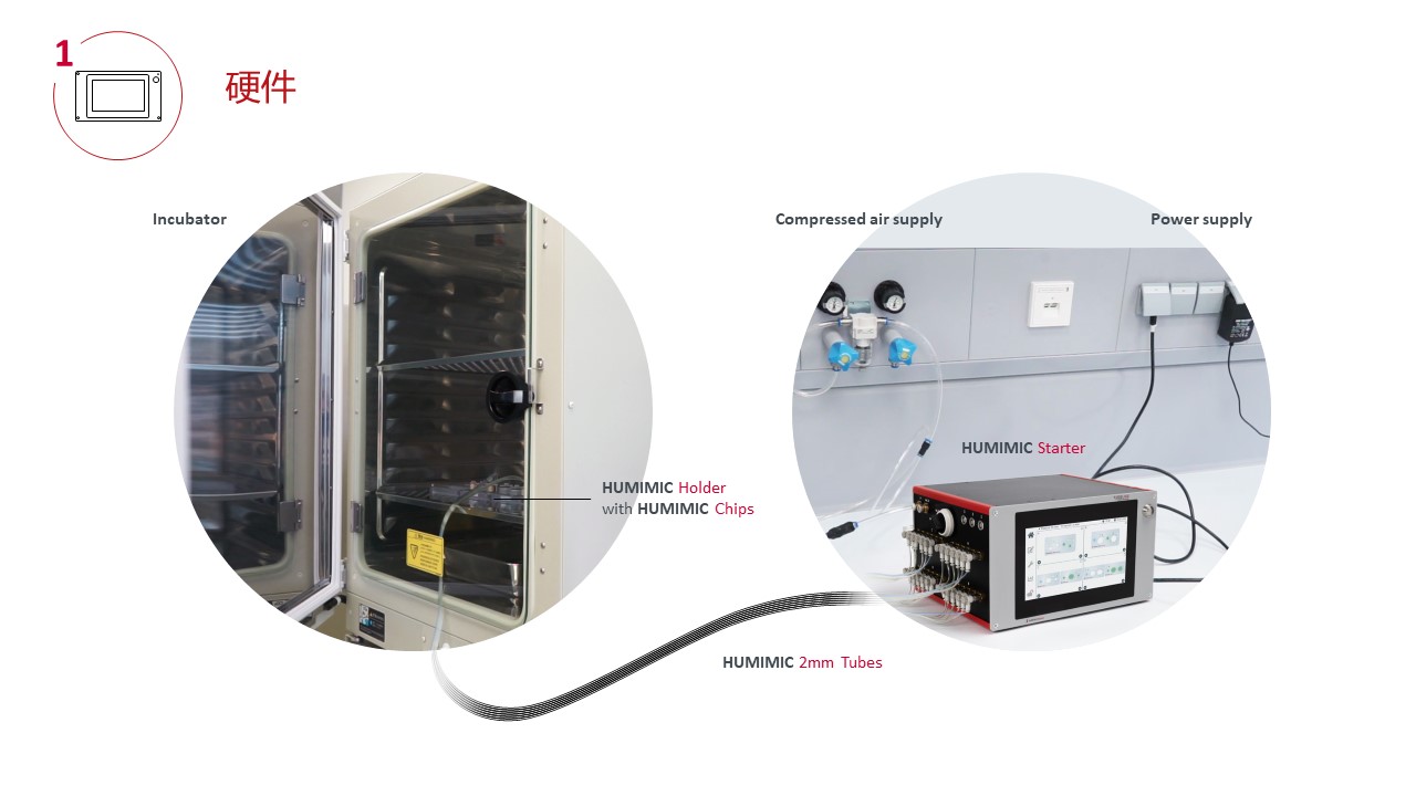 多类器官串联芯片培养技术