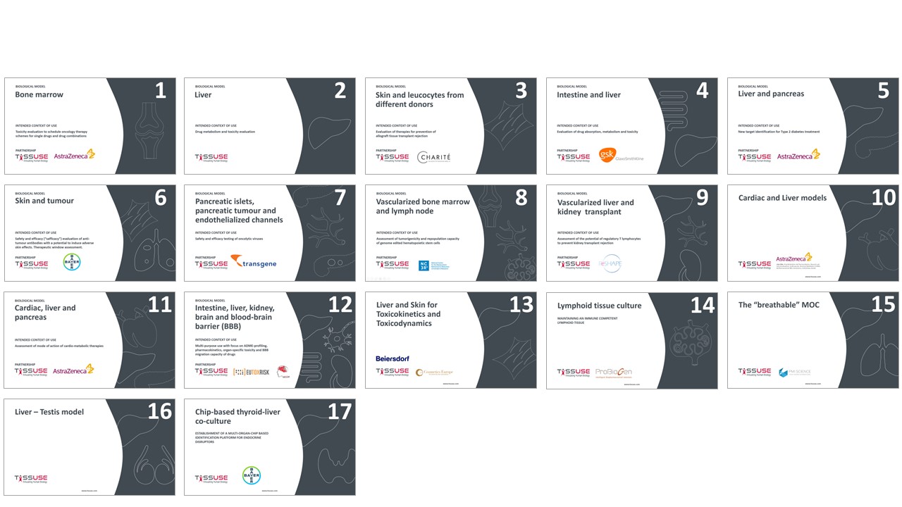 多类器官串联芯片培养技术