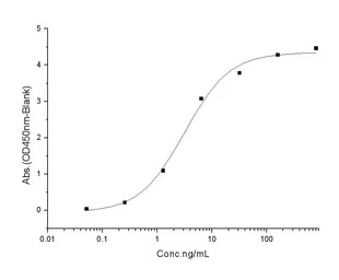 Human TACI (ECD) protein, huma