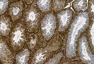 产品细节图片12