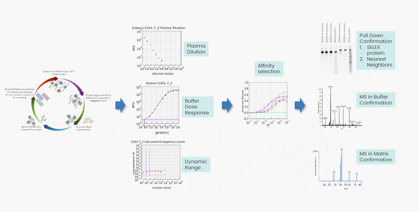 超高深度靶向蛋白组P7k/P11k