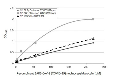 SARS-CoV-2 (COVID-19) Nucleoca