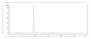 Anti-TPBG Reference Antibody 抗