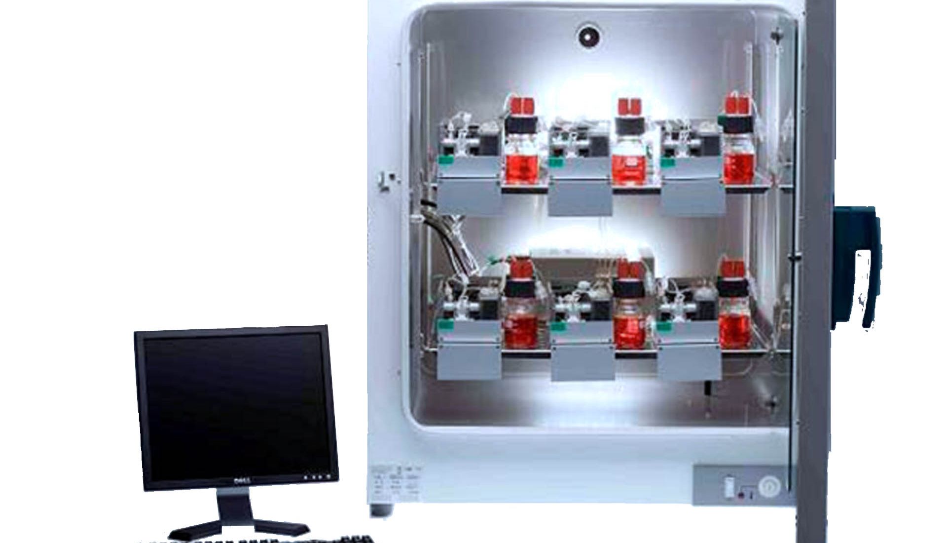 北京佰司特签约德国cellasys公司的细胞/组织/类器官分析仪—IMOLA-IVD