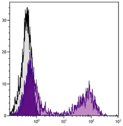 Mouse Anti-Rat IgG2a antibody 