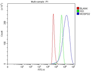 Anti-MOSPD2 Antibody 抗体，orb178