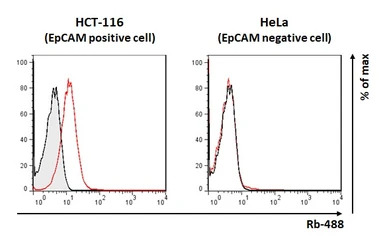 EpCAM antibody [HL1338]