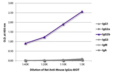 Rat Anti-Mouse IgG2b antibody 