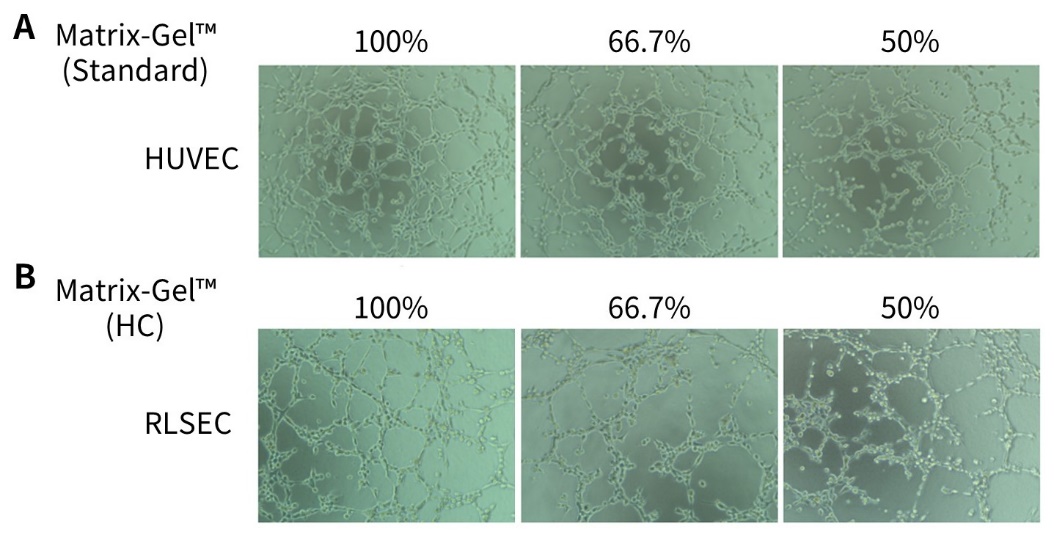 Matrix-Gel™基质胶(标准型，含酚红)