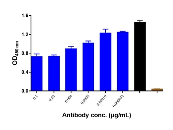 Anti-CD4 Reference Antibody 抗体