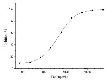 Human Fas protein, human IgG F