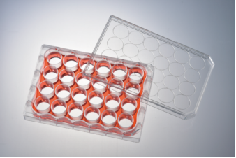 Watson 197-48CPS 48孔细胞培养板,无菌,独