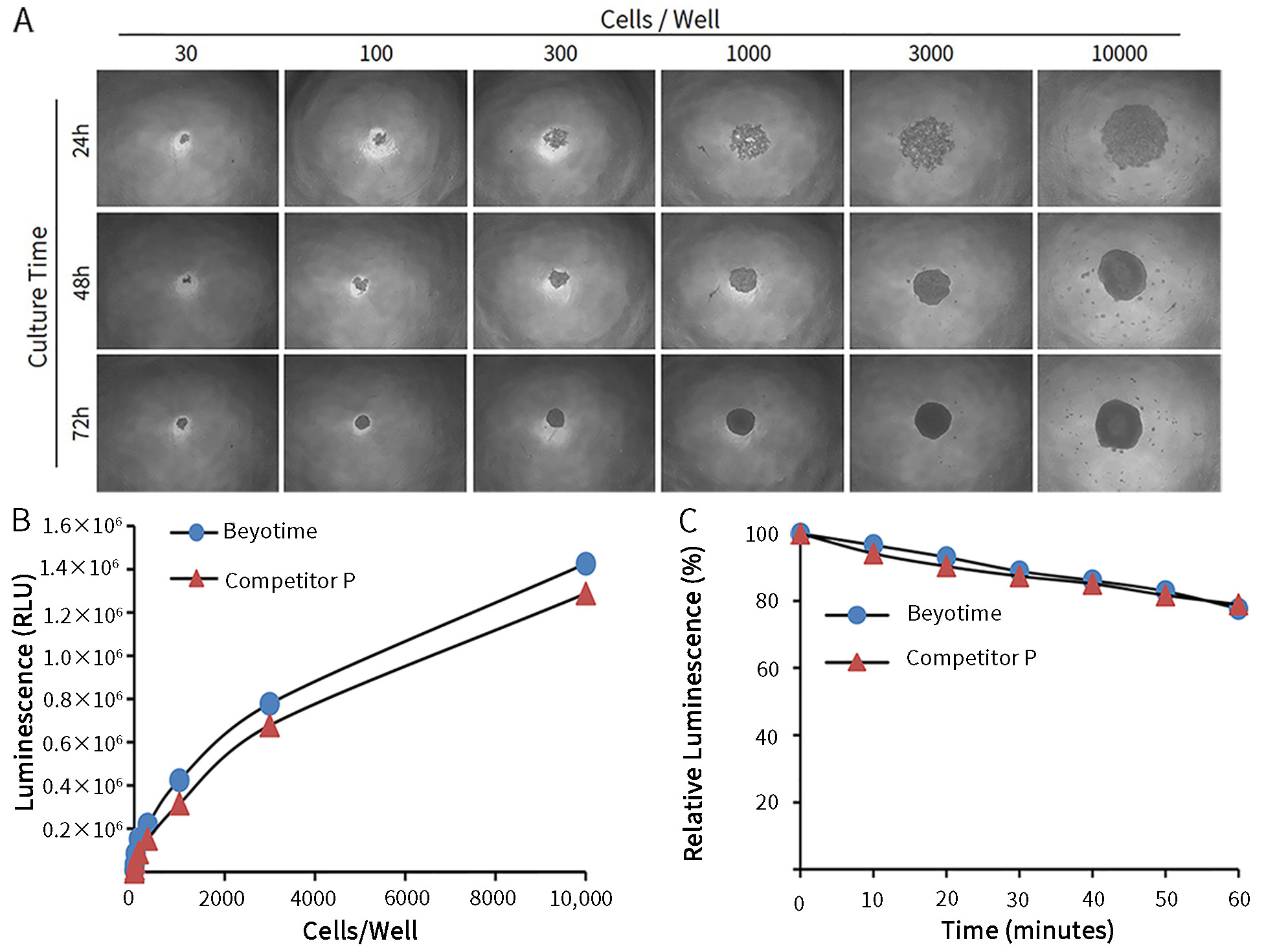 CellTiter-Lumi™ II发光法3D细胞活力检测试