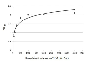 Enterovirus 71 VP1 antibody [G