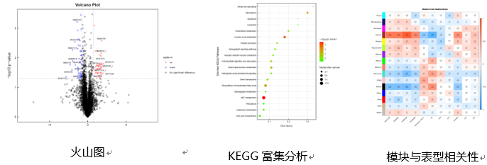部分数据分析结果展示
