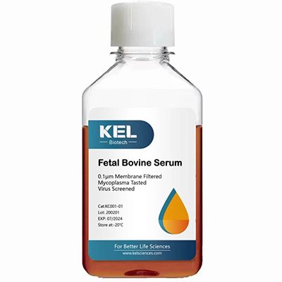 Fetal Bovine Serum Qualified for MSC间充质干细胞专用胎牛血清