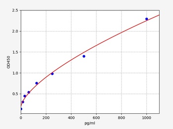 Human cpeb4(Cytoplasmic polyad