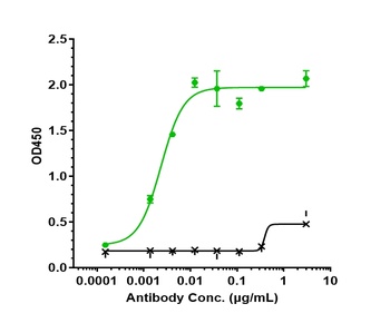 Anti-SLC1A5 / ASCT2 Reference 