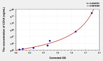 Rat CD1A (T-Cell Surface Glyco