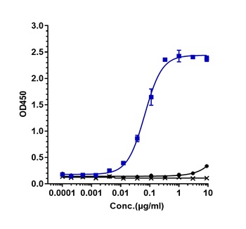 Anti-LIF Reference Antibody 抗体
