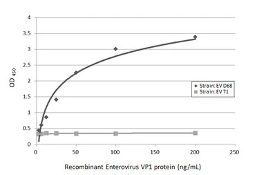 Enterovirus D68 VP1 antibody [