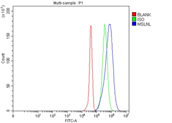 Anti-MSLNL Antibody 抗体，orb1786