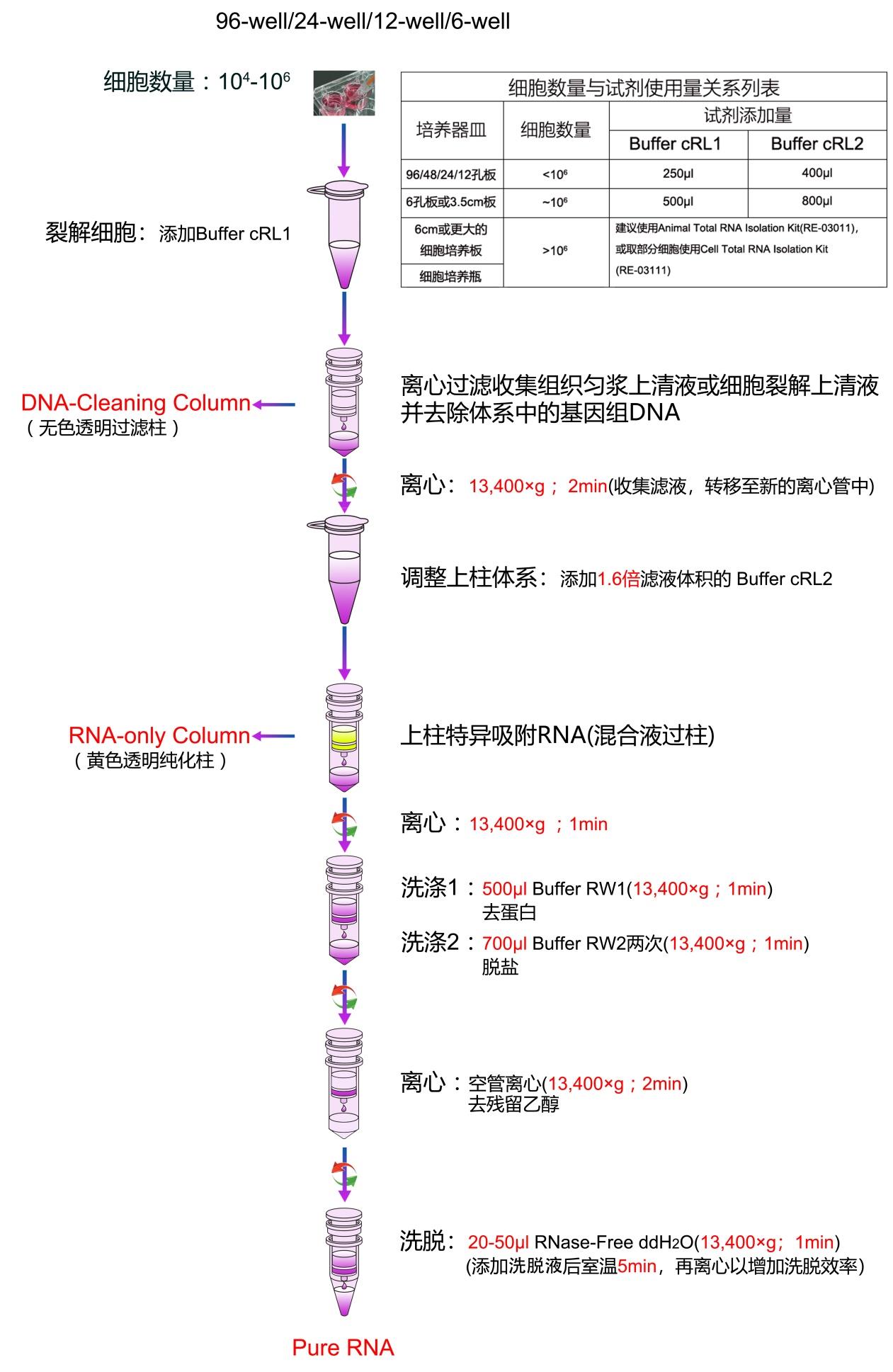 培养细胞总RNA提取试剂盒