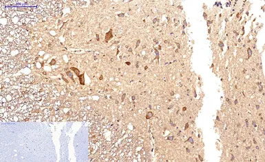 产品细节图片12