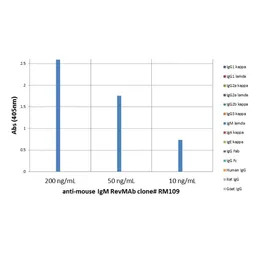 Rabbit Anti-Mouse IgM antibody