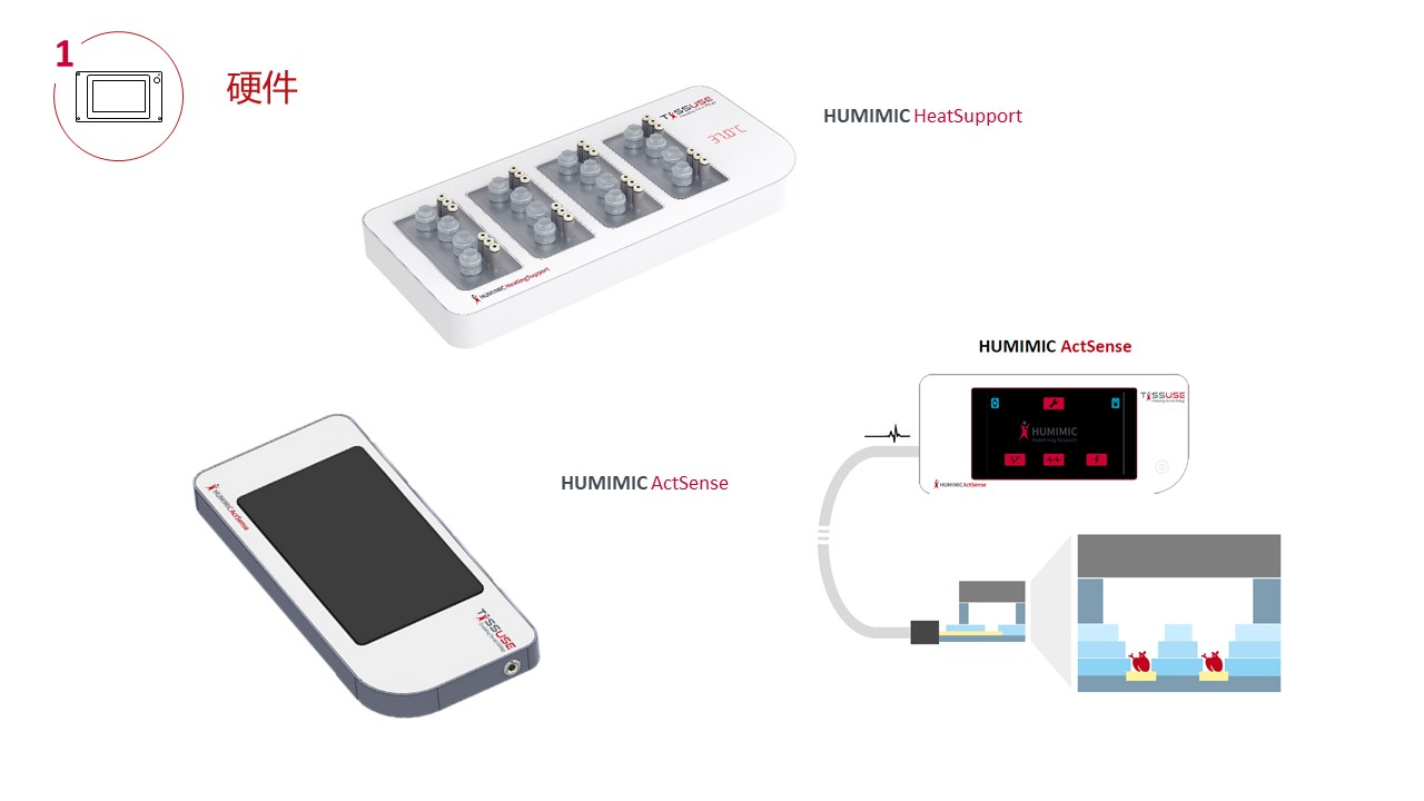 多类器官串联芯片培养技术